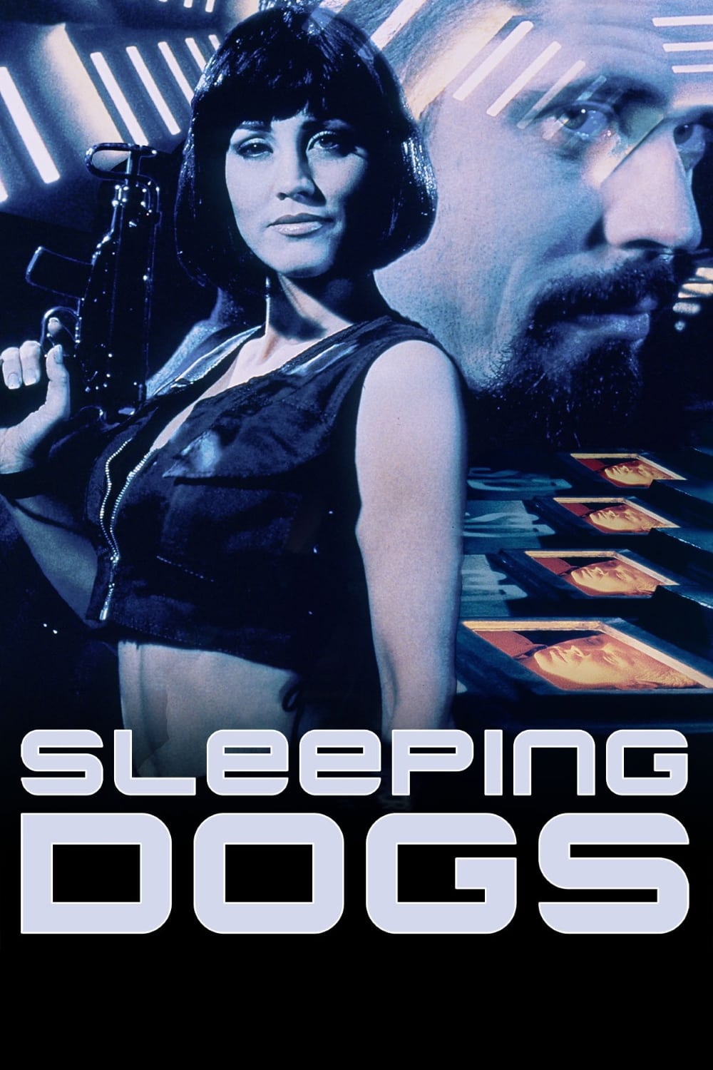 Постер Sleeping Dogs
